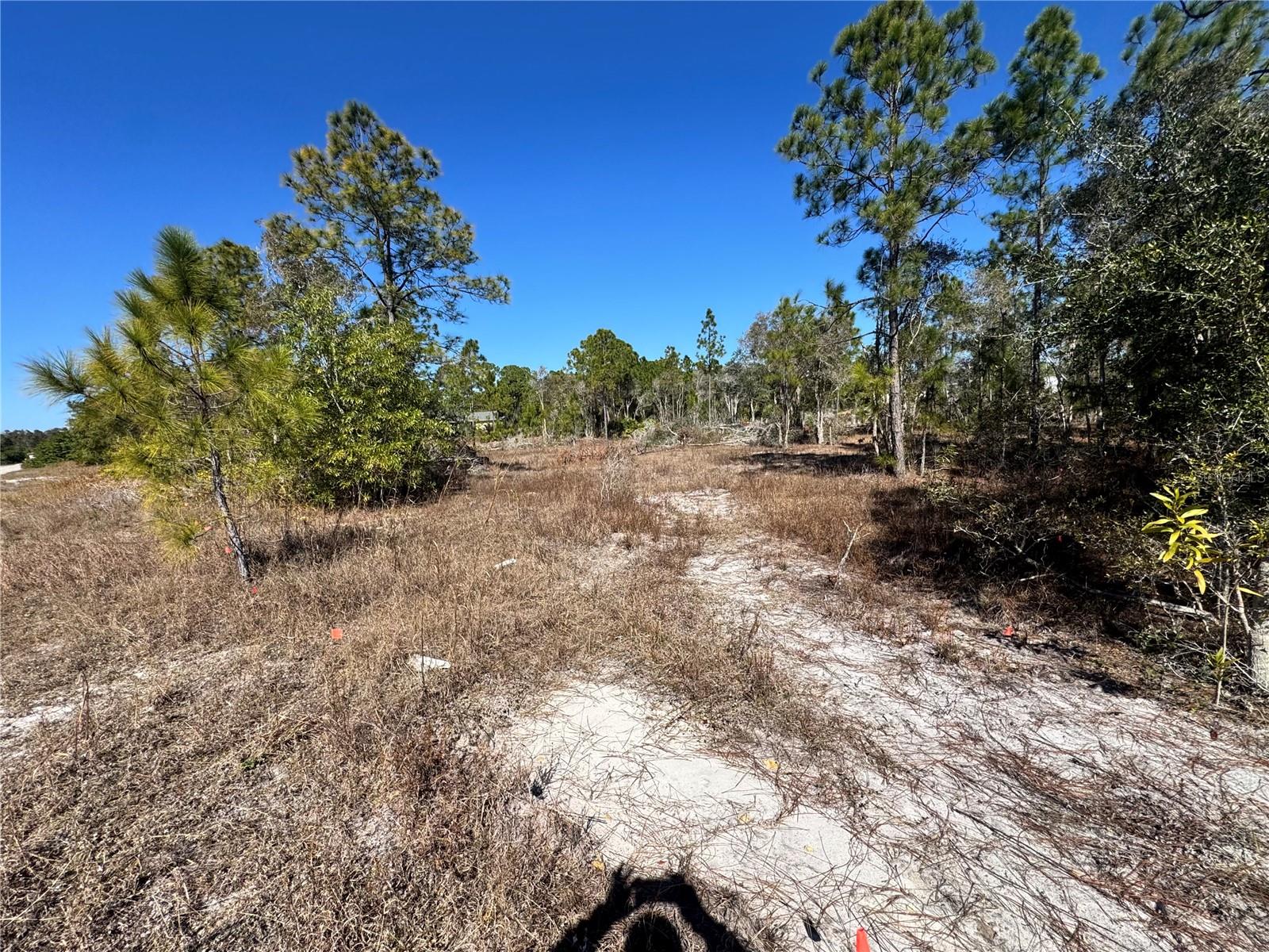 Image 4 of 8 For 761 Goldrock Road