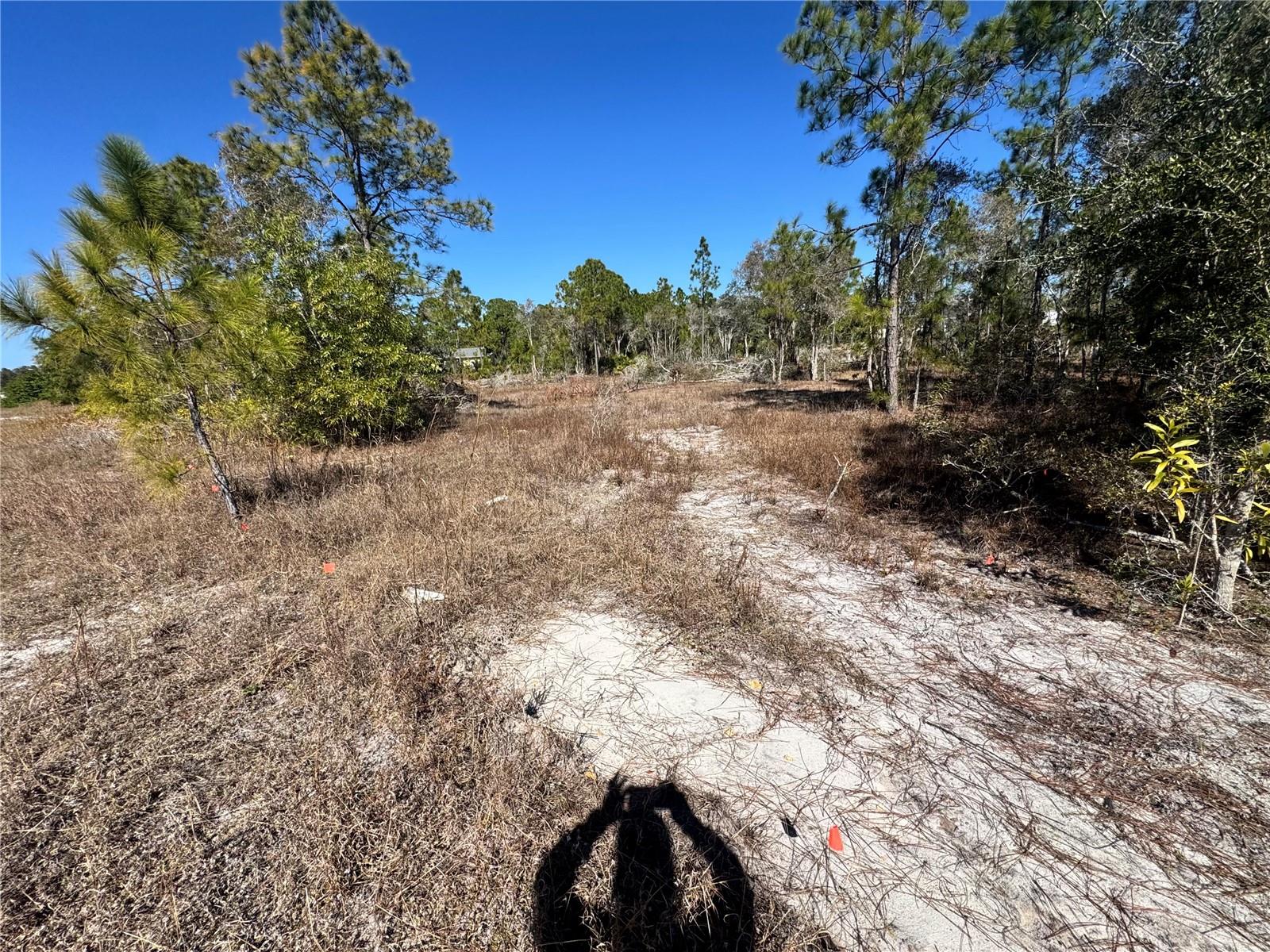 Image 5 of 8 For 761 Goldrock Road