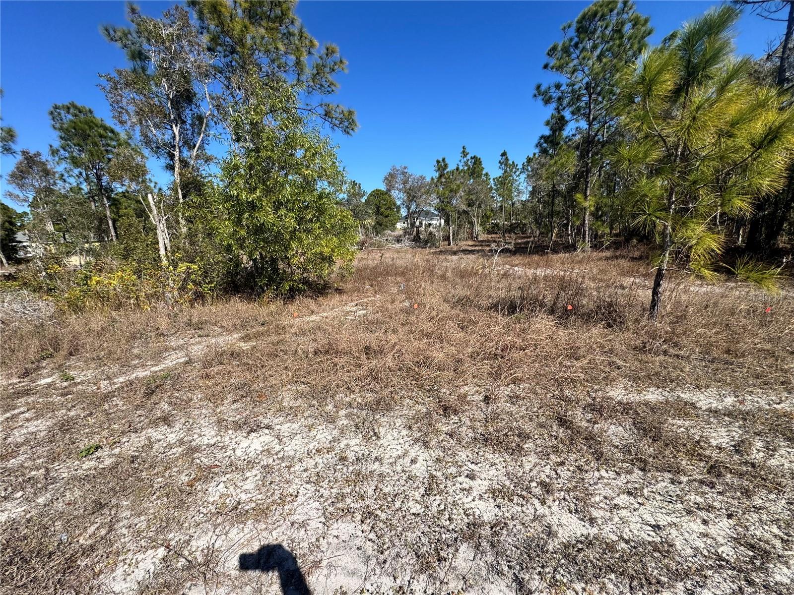 Image 7 of 8 For 761 Goldrock Road