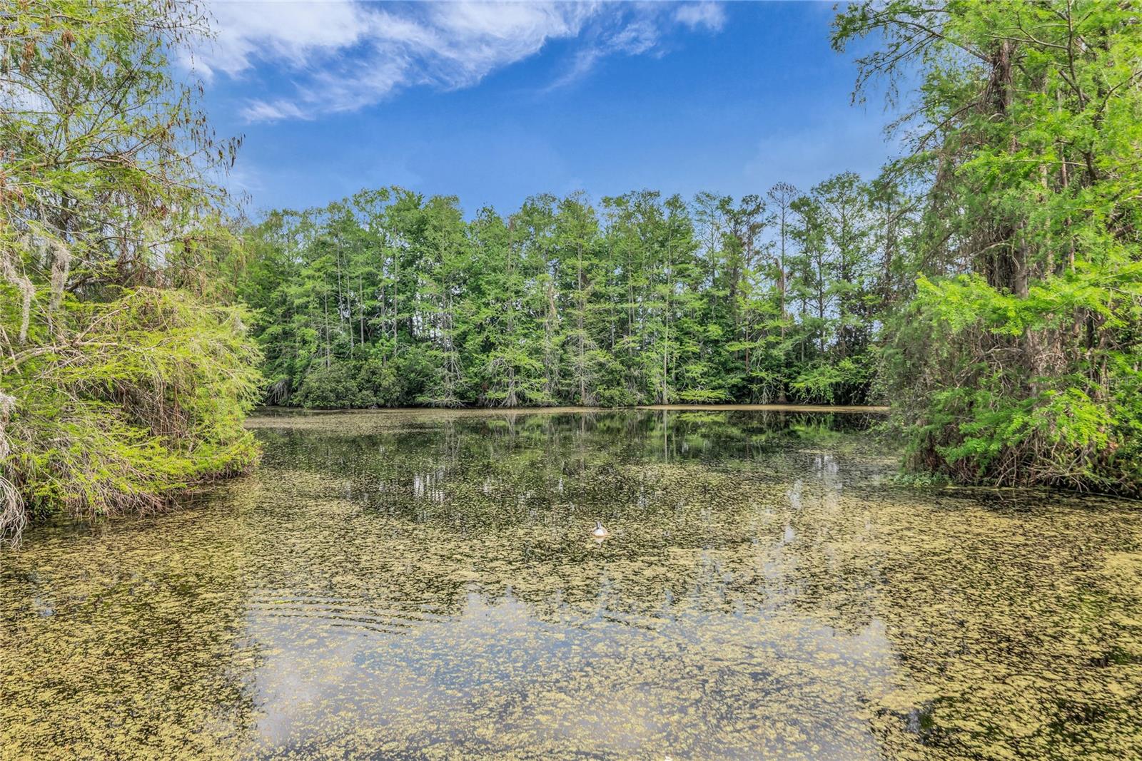 Image 31 of 31 For 4830 Semoran Boulevard 1108