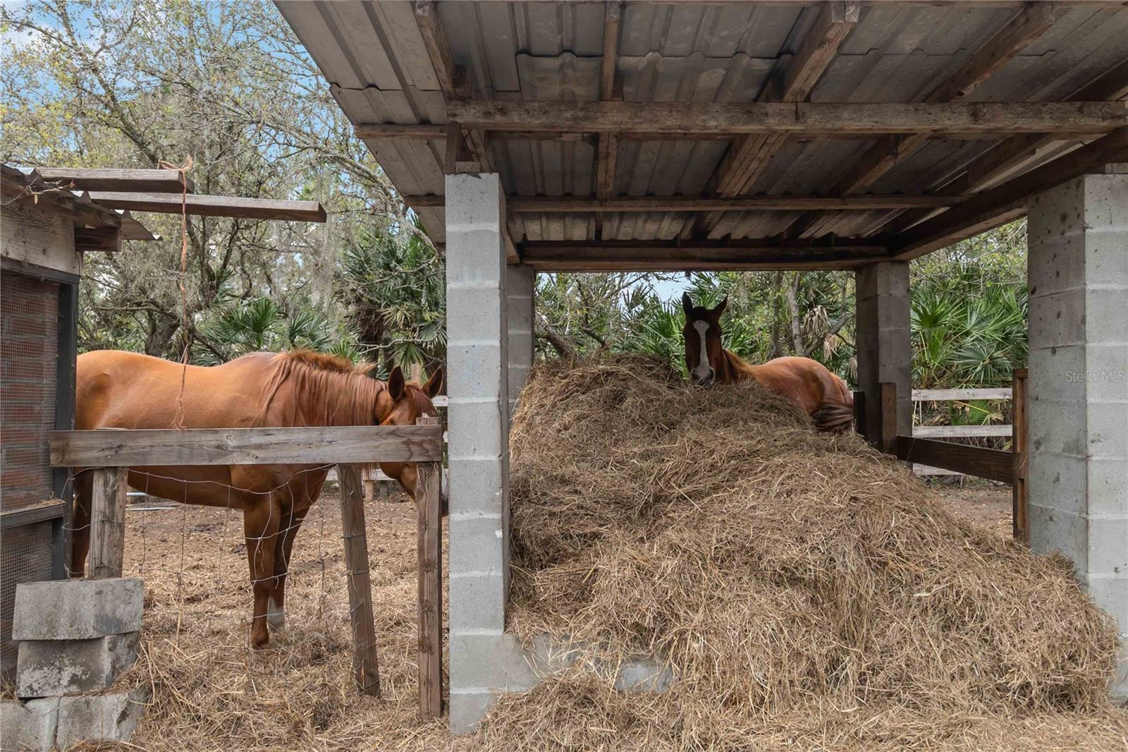 Image 53 of 62 For 1785 Sundance Drive