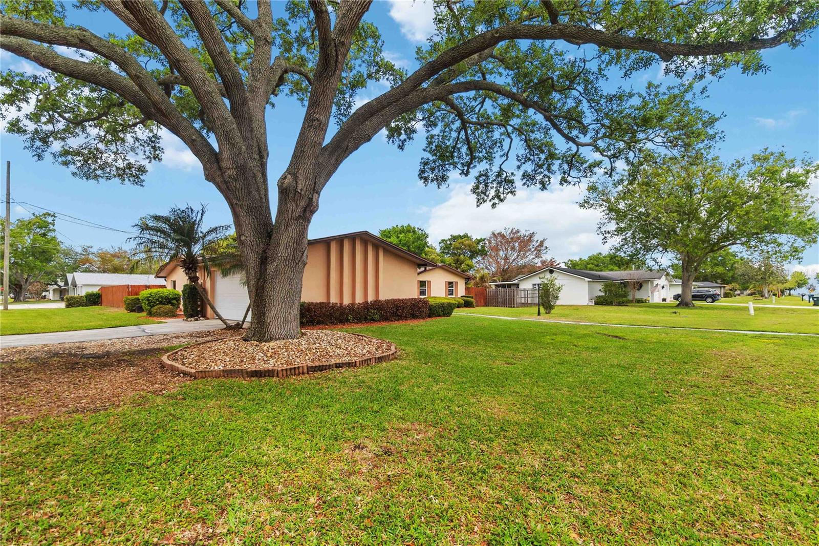 Image 51 of 53 For 222 Maryland Avenue