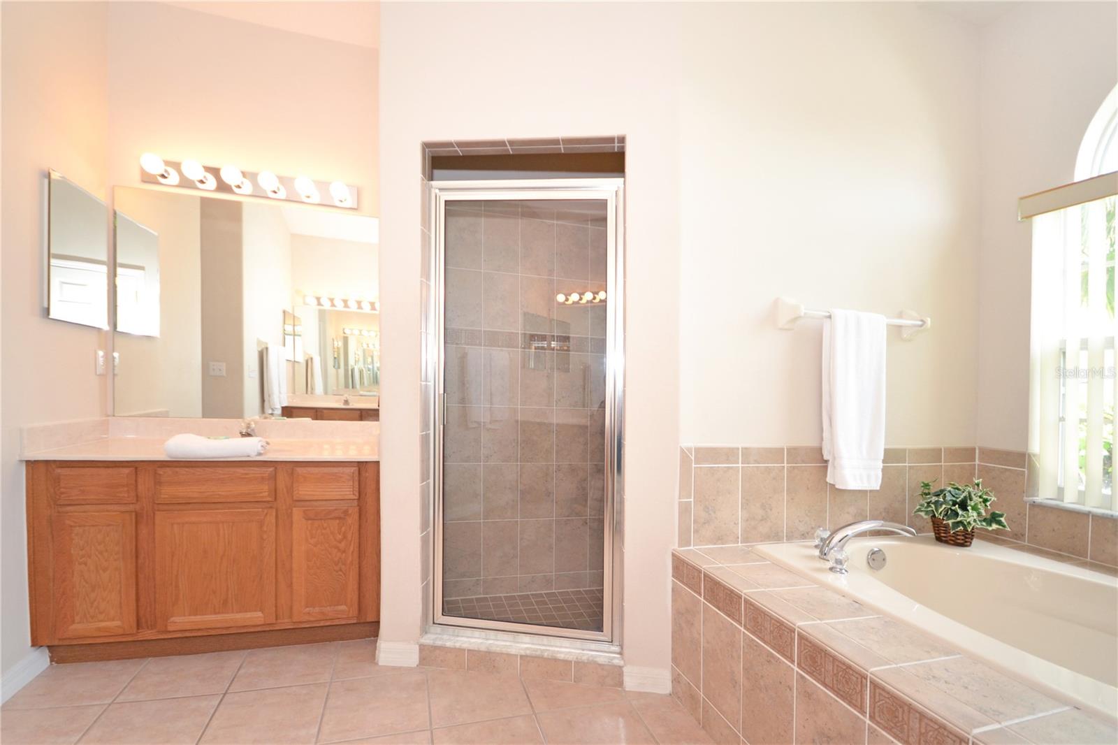 Image 12 of 31 For 423 Corvina Drive