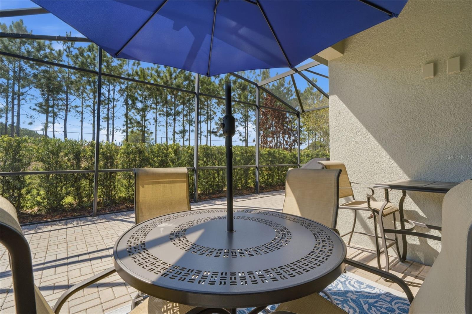 Image 6 of 71 For 112 Castellon Court