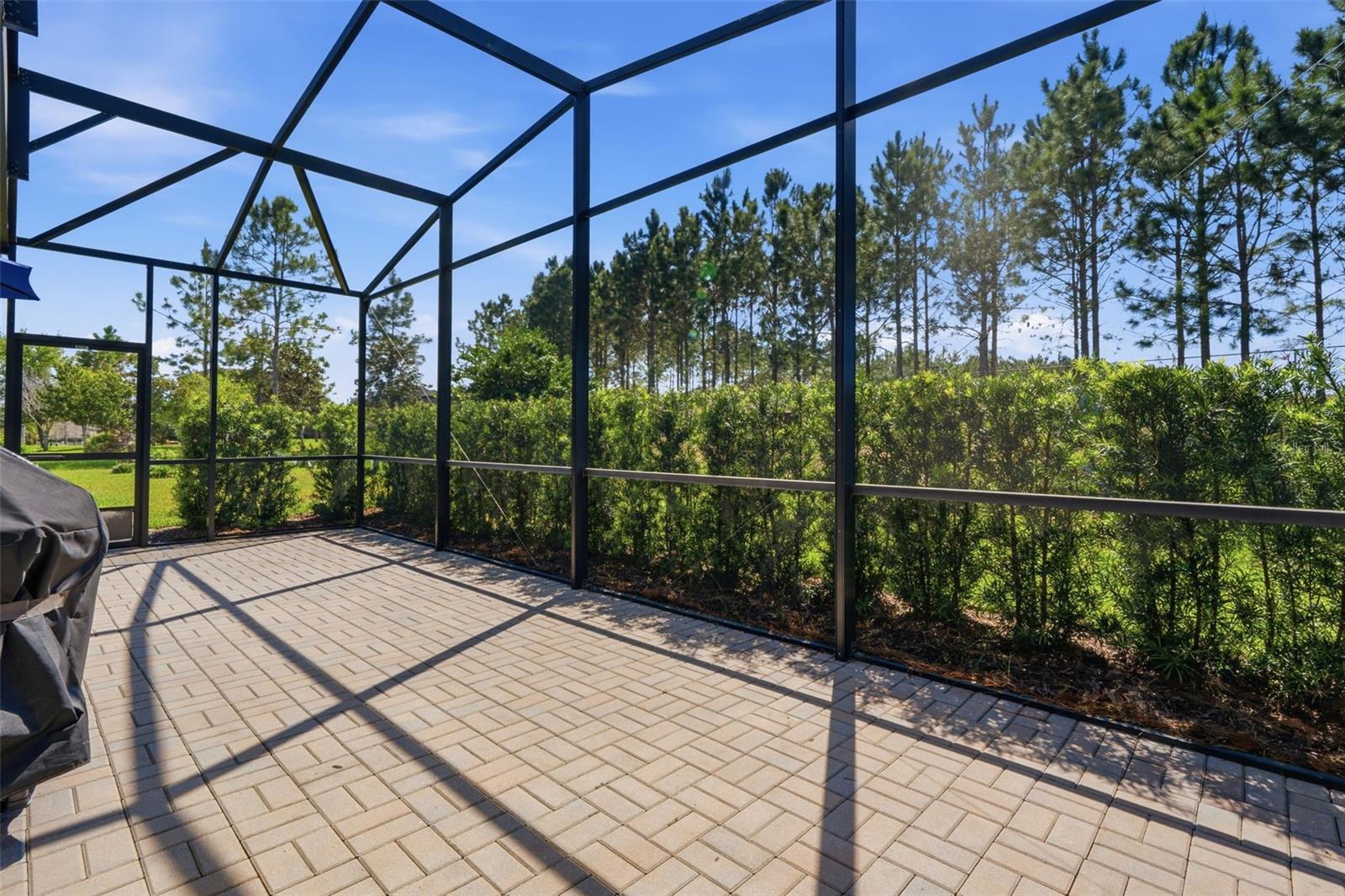 Image 9 of 71 For 112 Castellon Court