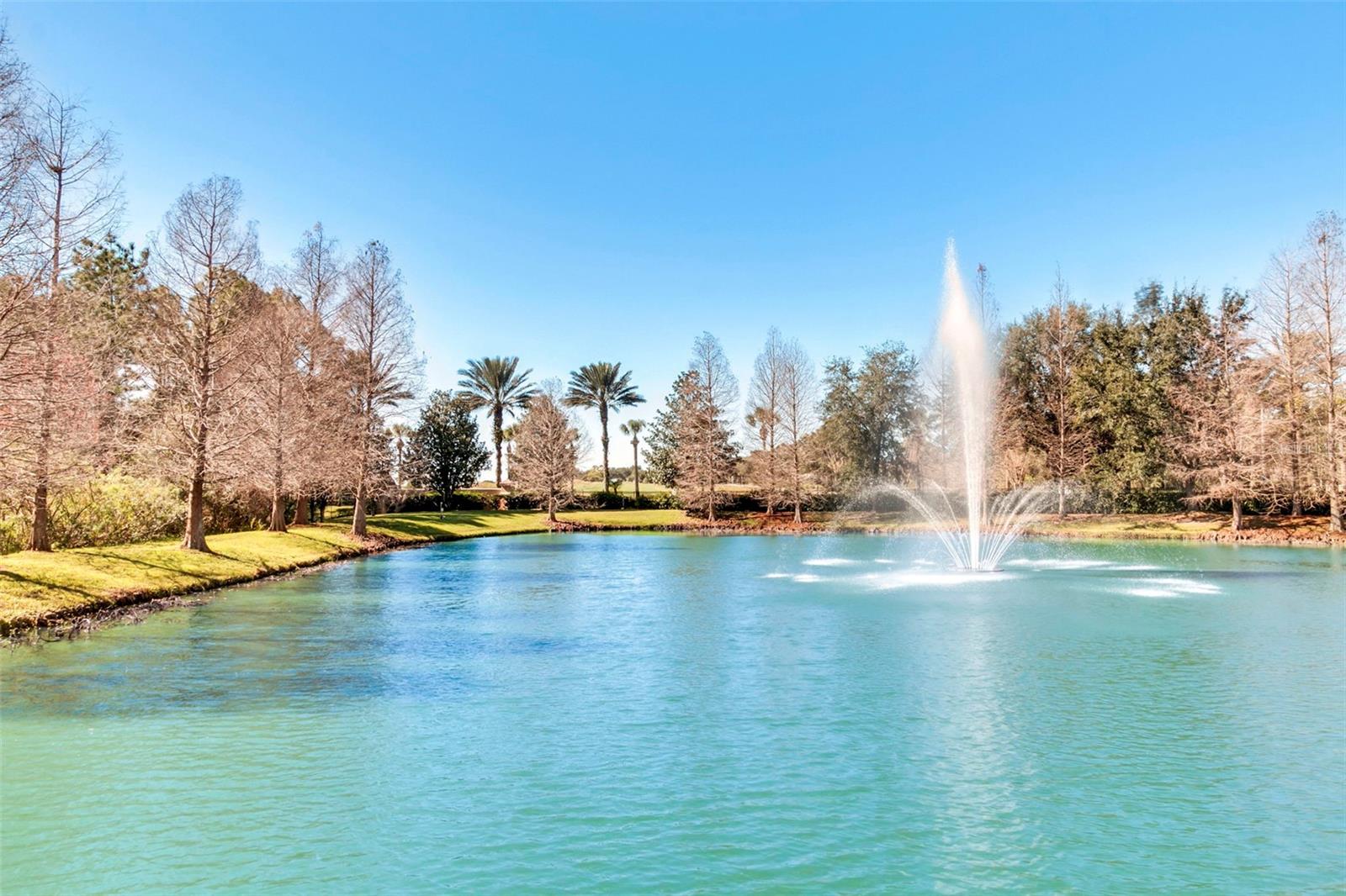 Image 43 of 58 For 8349 Bella Tierra Court