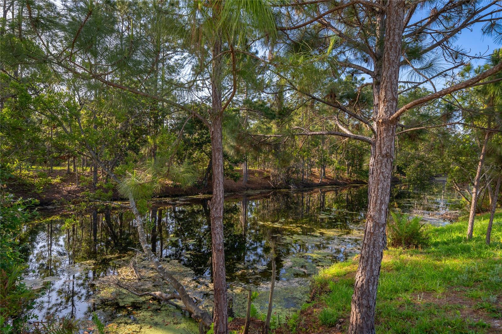 Image 12 of 30 For 6708 Alder Road