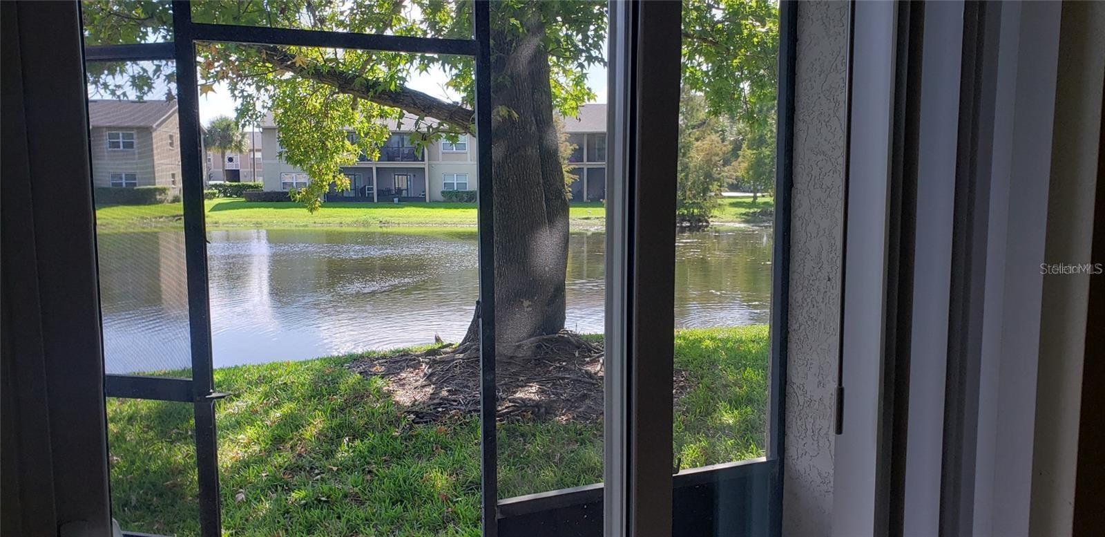 Image 4 of 10 For 9927 Turf Court 5