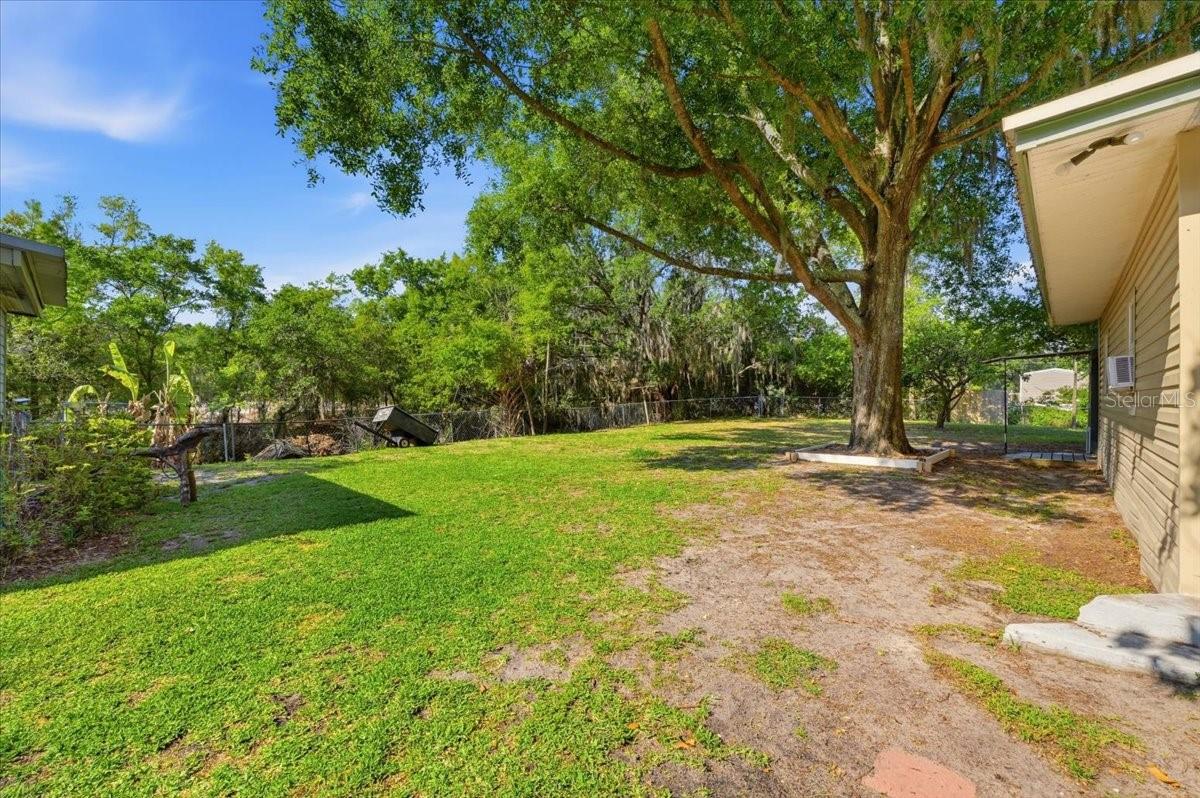 Image 41 of 53 For 1240 Alligator Alley