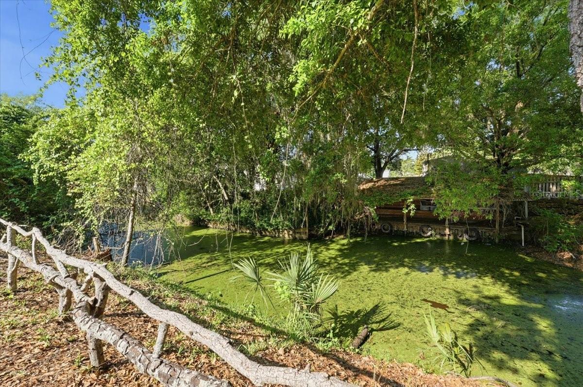 Image 42 of 53 For 1240 Alligator Alley