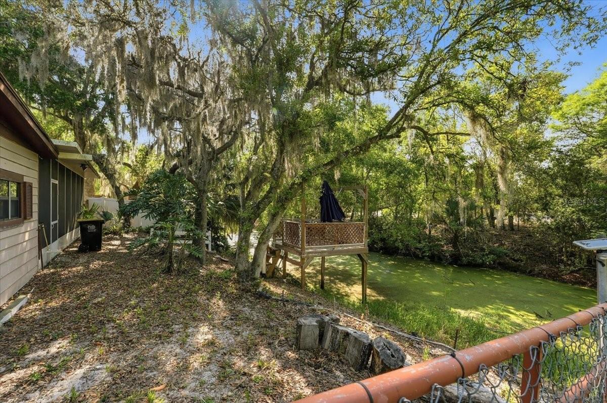 Image 44 of 53 For 1240 Alligator Alley