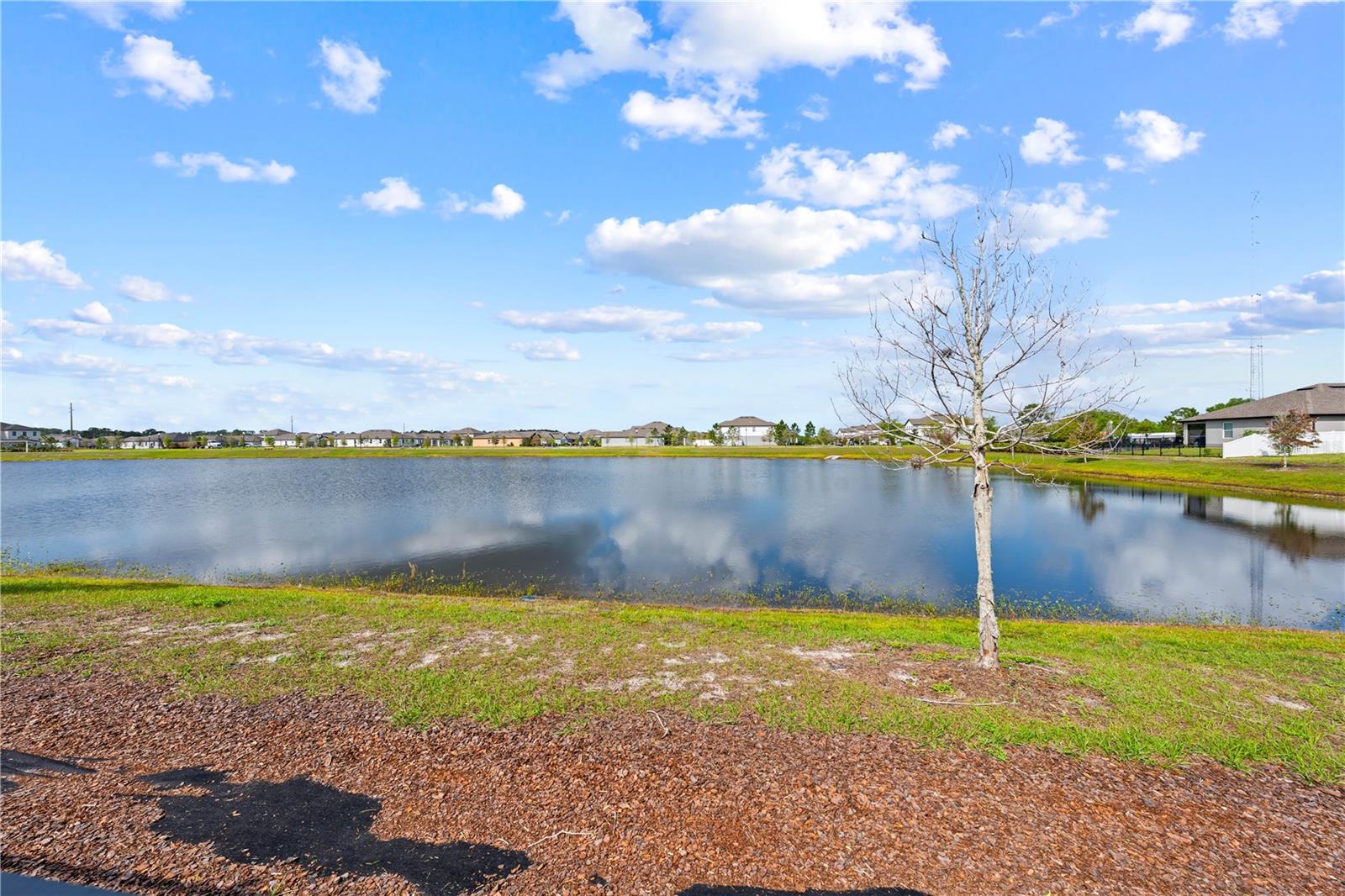 Image 55 of 55 For 920 Livestock Loop