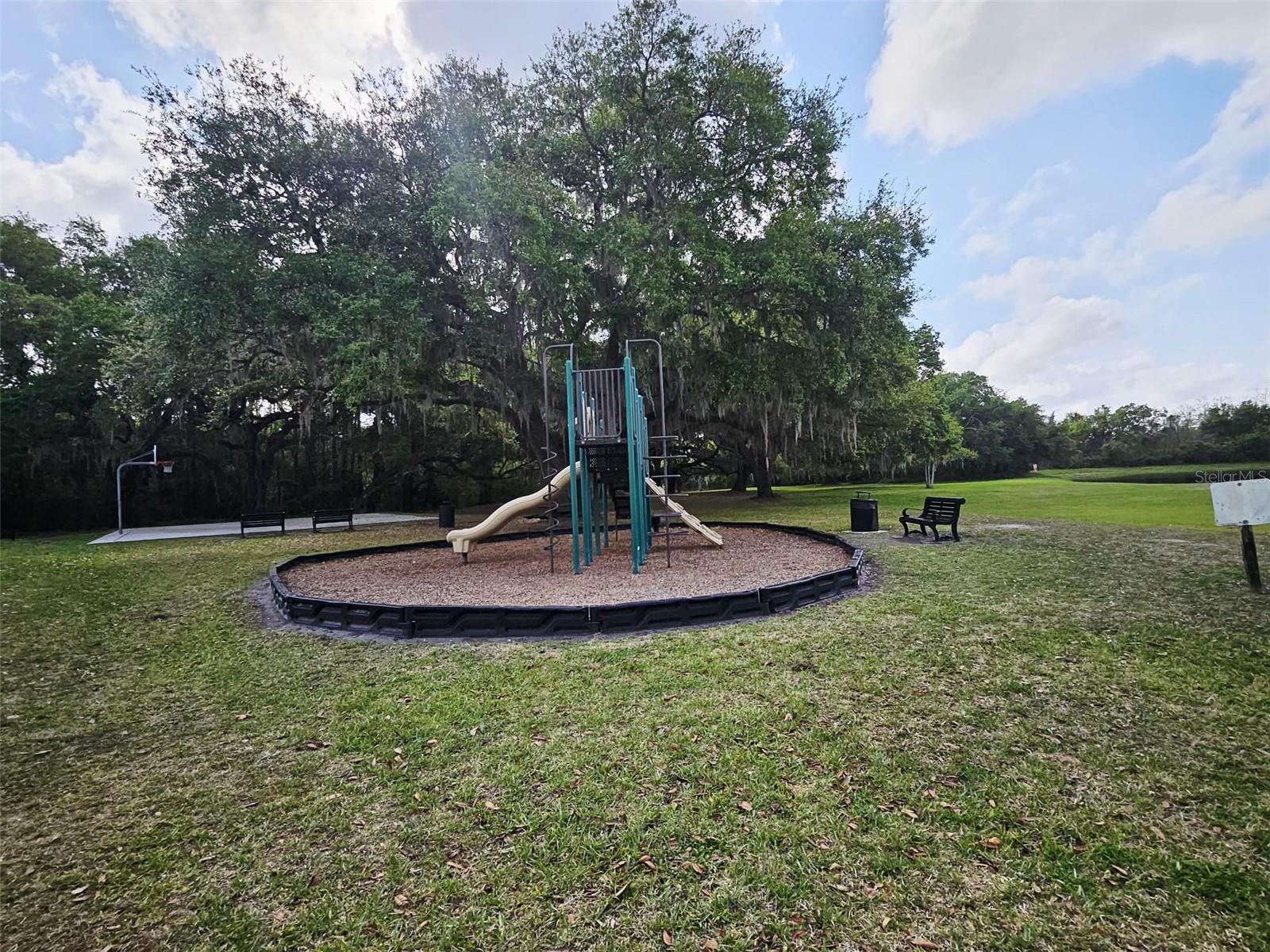 Image 34 of 43 For 3102 Camino Real Dr N