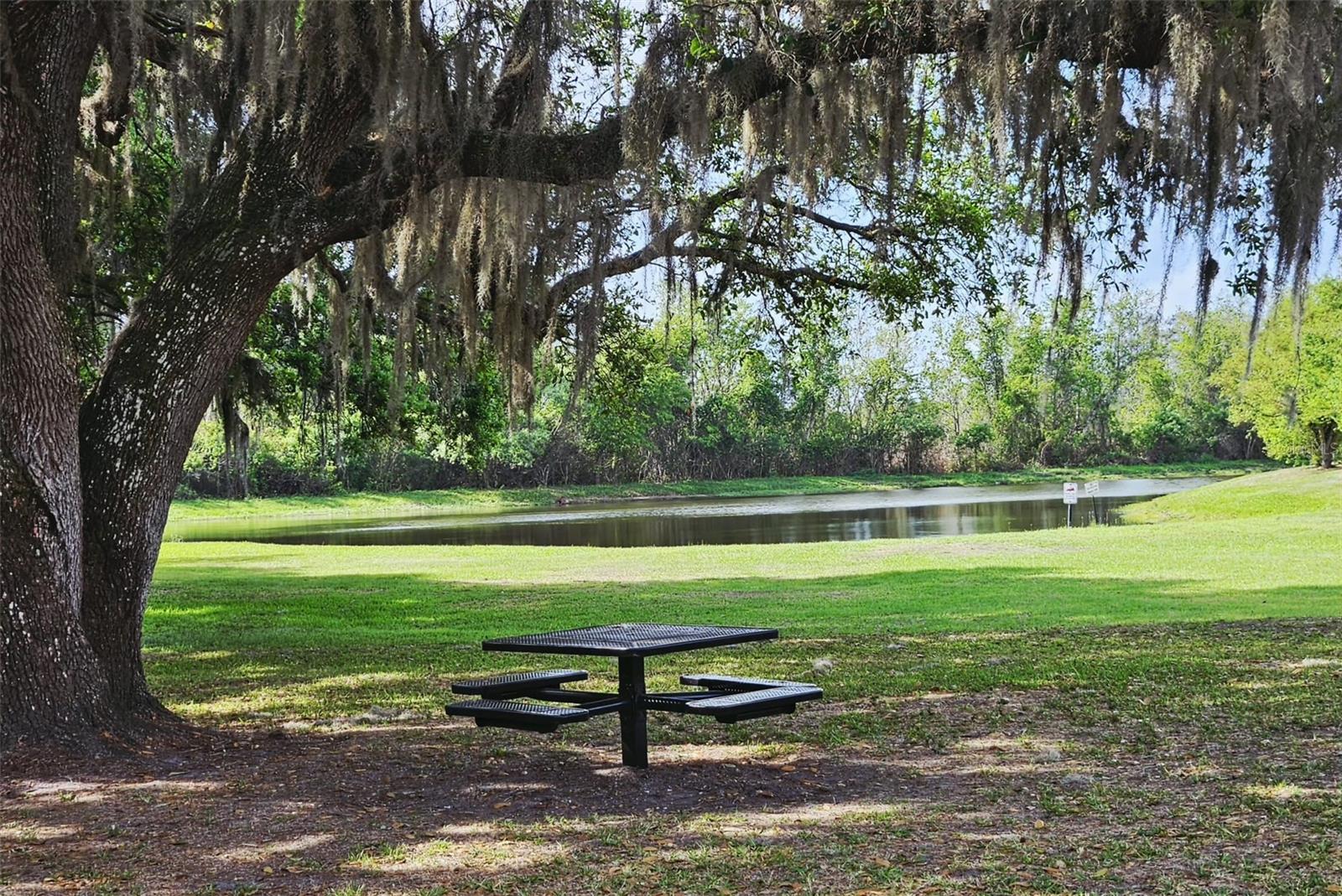 Image 37 of 43 For 3102 Camino Real Dr N