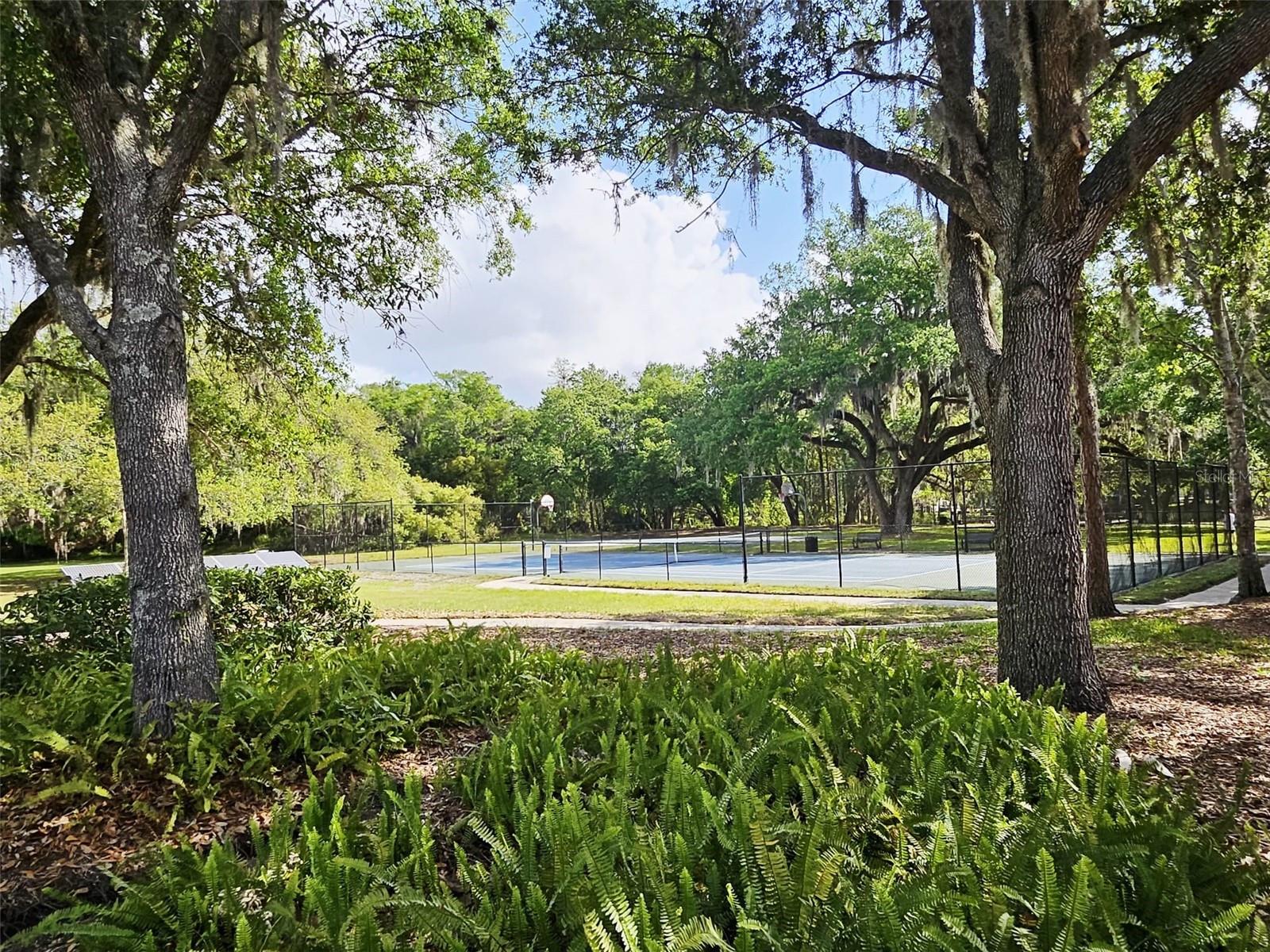 Image 38 of 43 For 3102 Camino Real Dr N