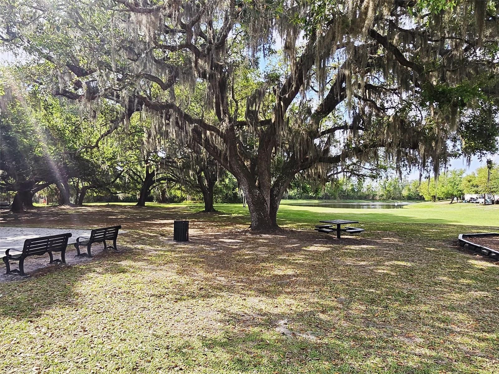 Image 39 of 43 For 3102 Camino Real Dr N