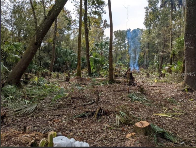 Details for 11939 Wildflower Street, CRYSTAL RIVER, FL 34428