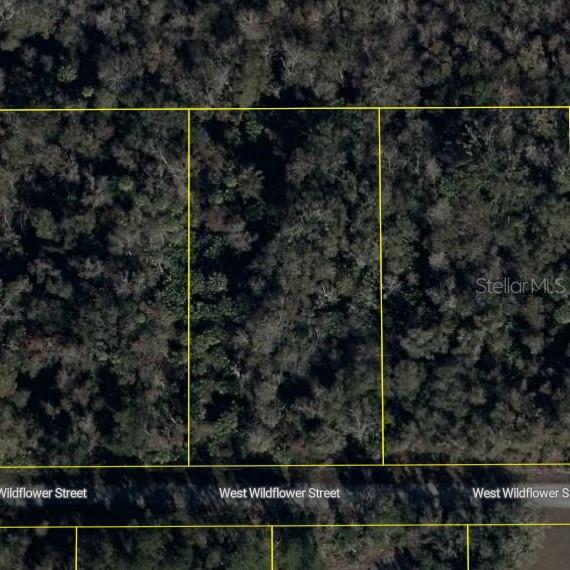 Image 4 of 4 For 11939 Wildflower Street