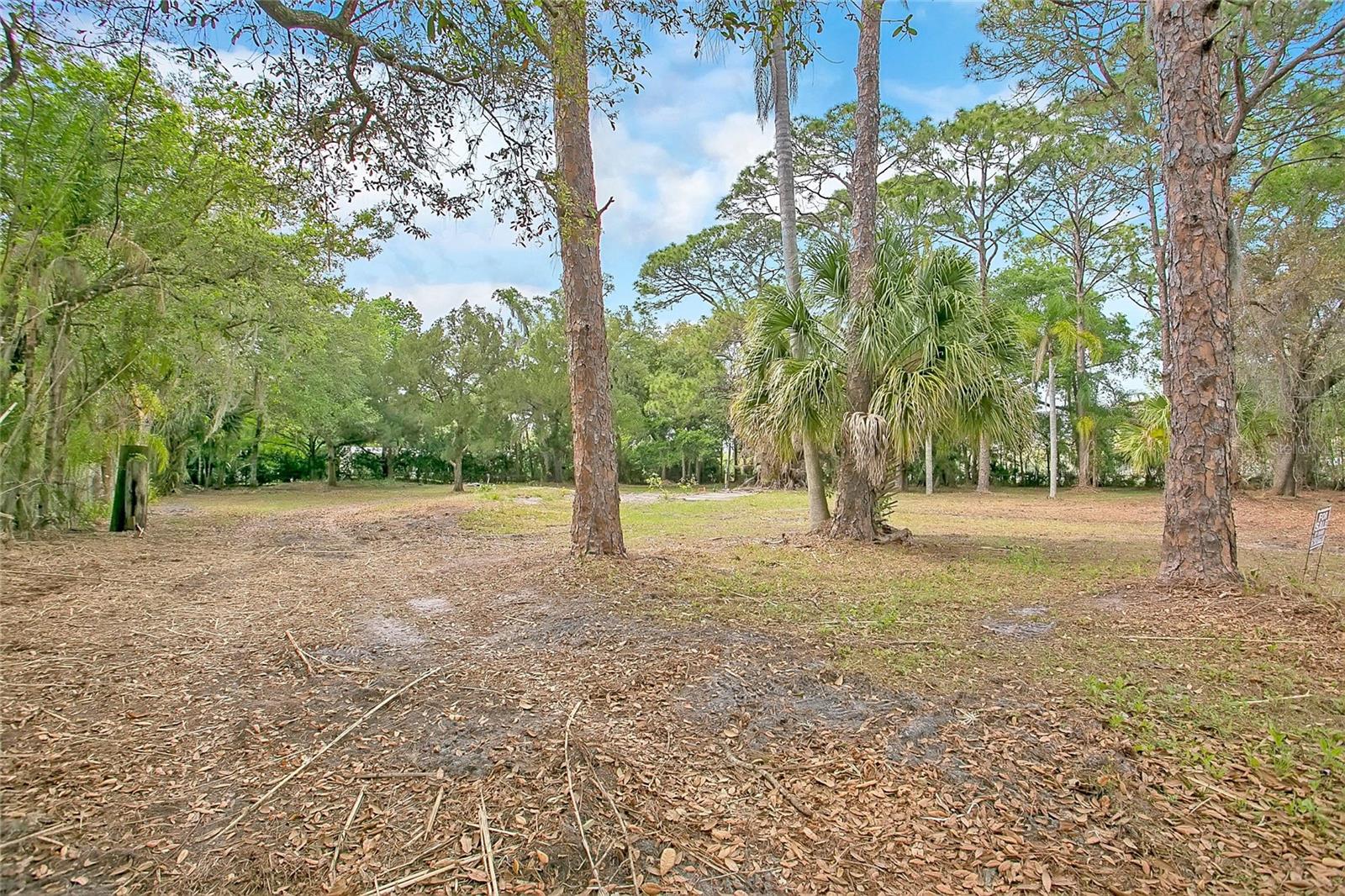 Image 12 of 13 For 806 Saint Nicholas Avenue