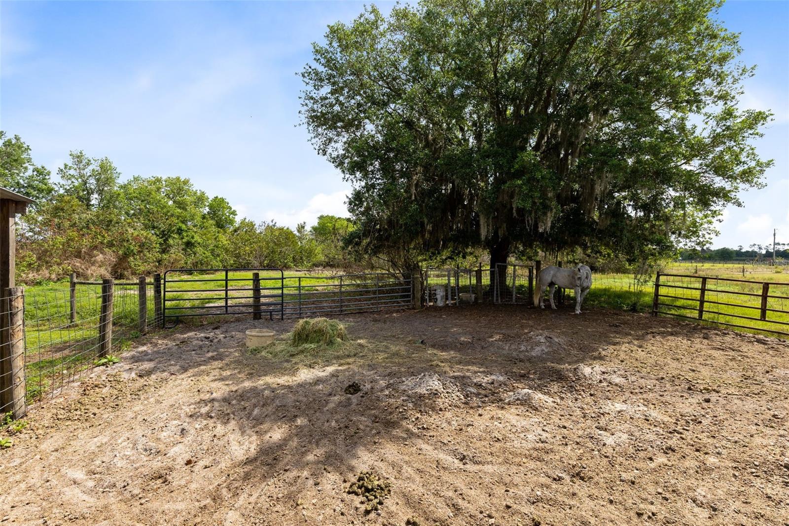 Image 38 of 42 For 3591 Canoe Creek Road