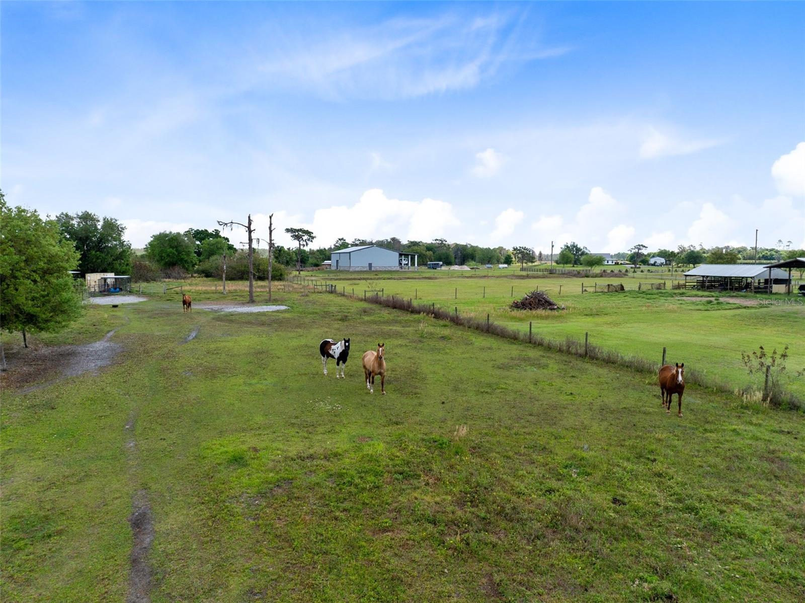 Image 39 of 42 For 3591 Canoe Creek Road