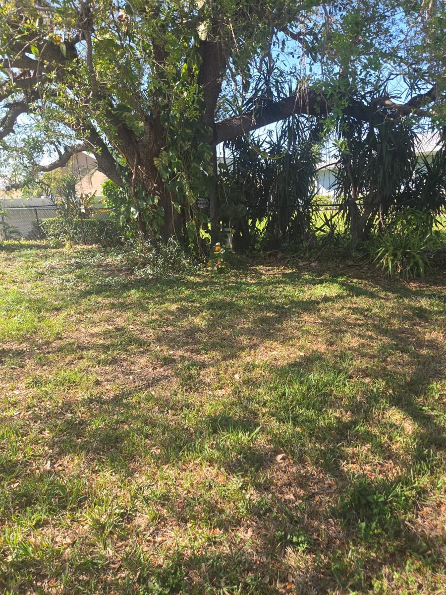 Image 29 of 32 For 1805 Coral Point Drive