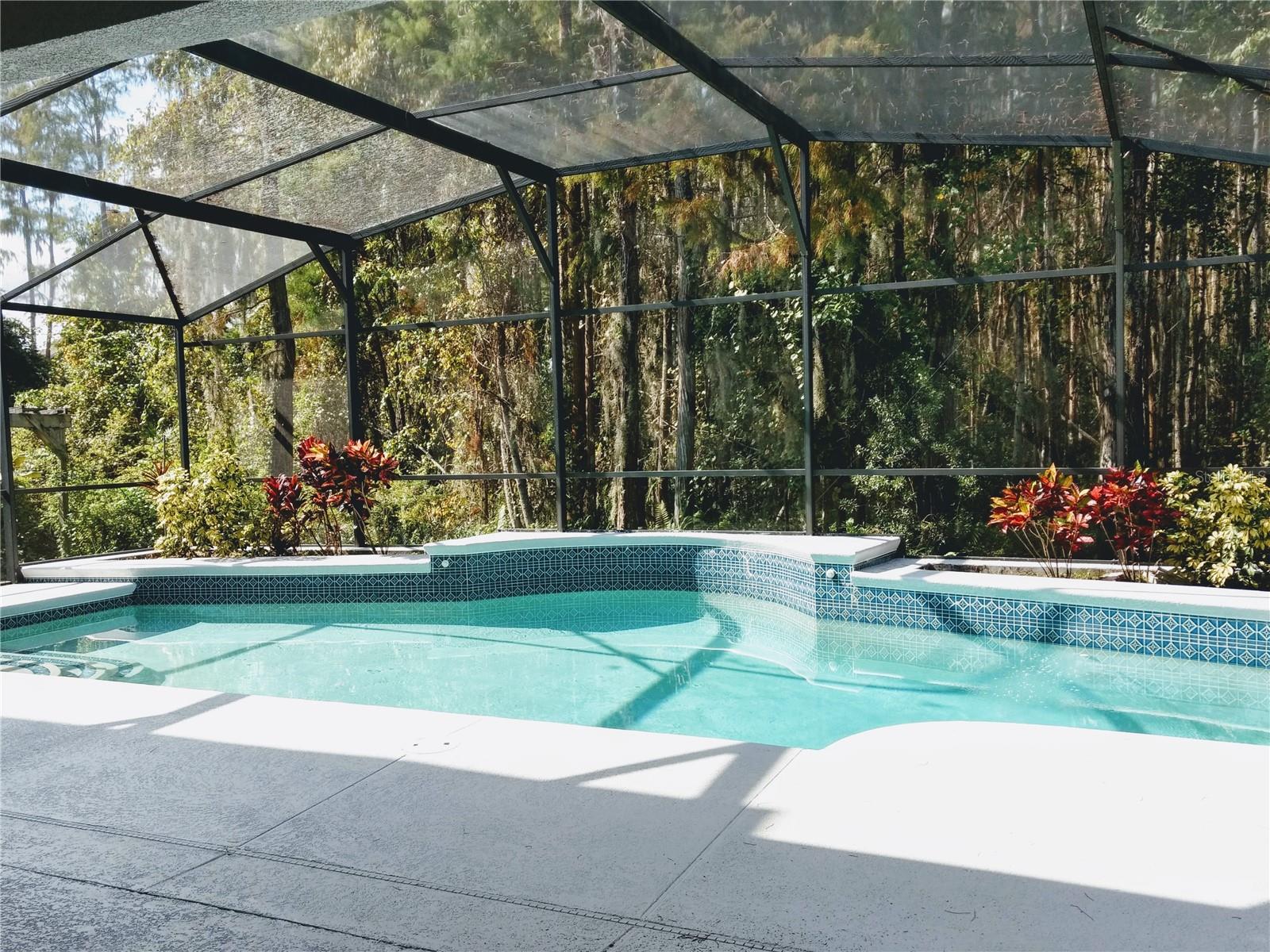 Image 30 of 31 For 12319 Shadowbrook Lane