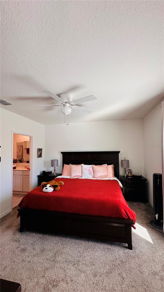 Image 15 of 29 For 4260 Pebbles Throw Drive