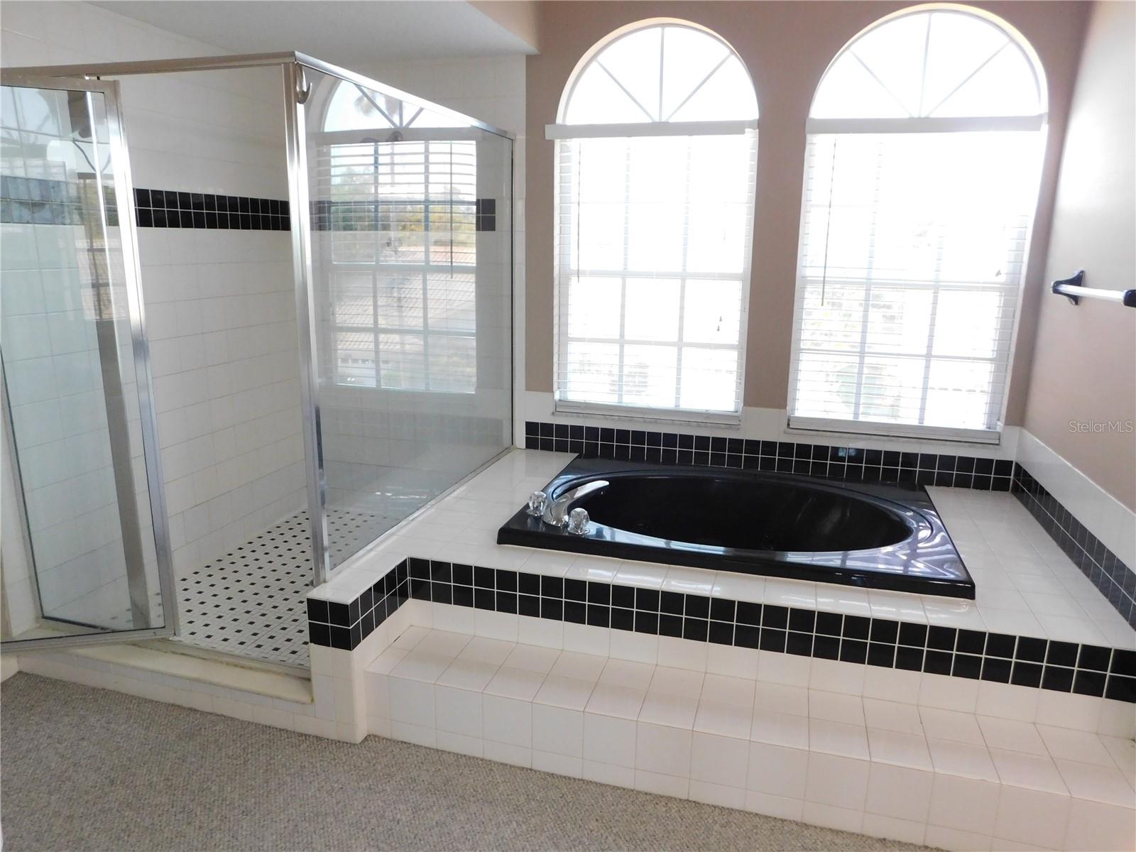 Image 38 of 51 For 1720 Arabian Lane