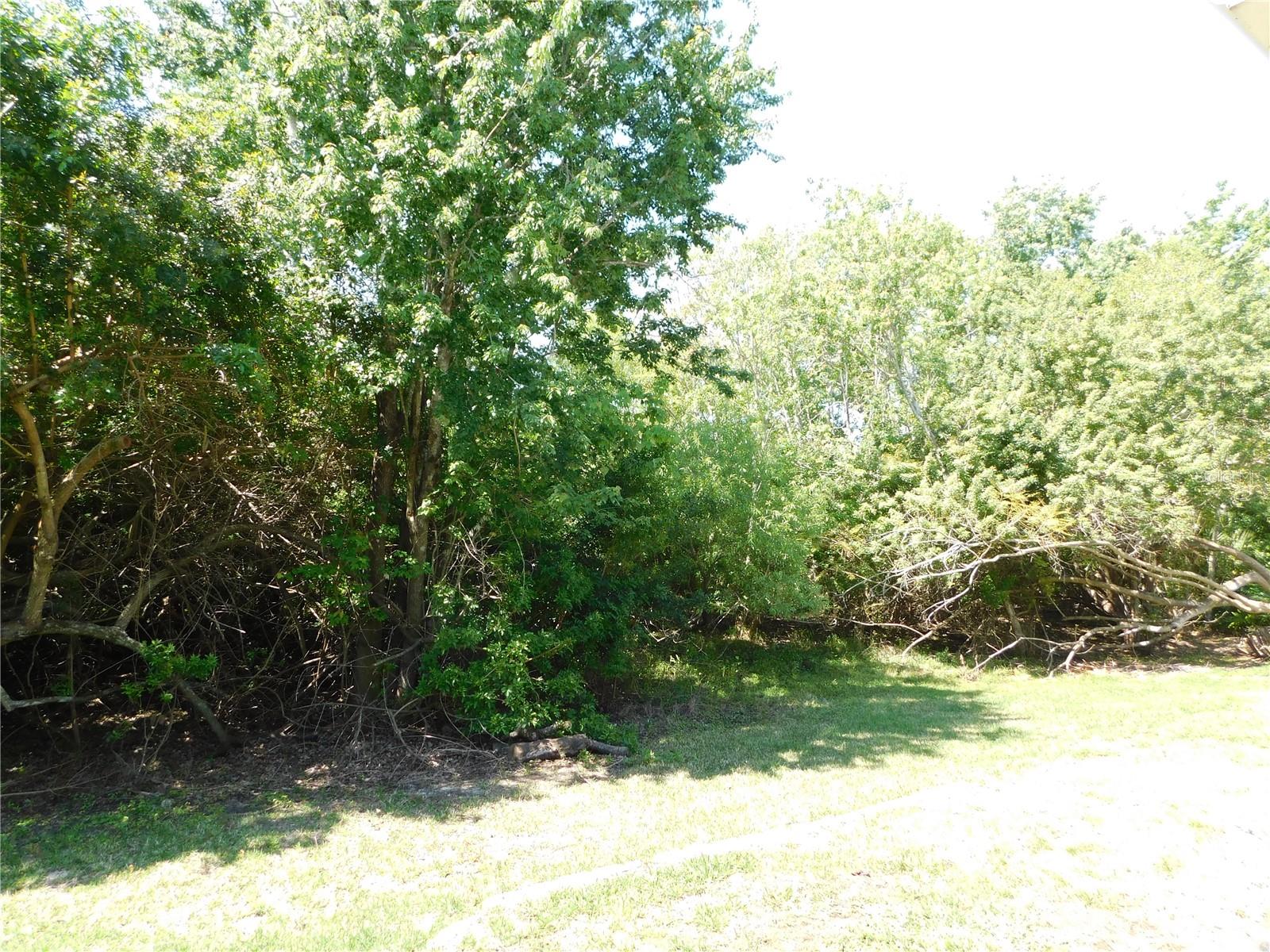 Image 5 of 51 For 1720 Arabian Lane