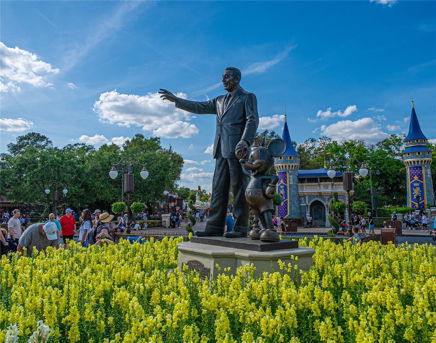 Image 24 of 26 For 8825 Corcovado Drive