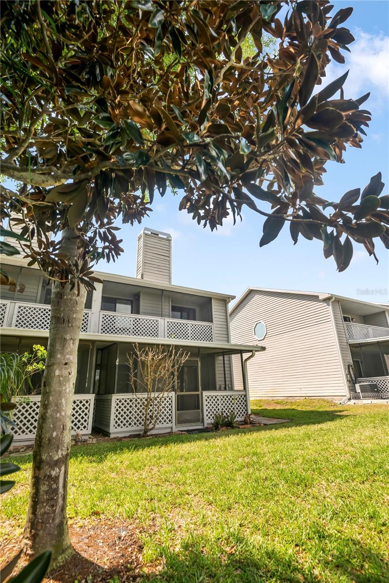 Image 27 of 31 For 321 Orange Blossom Drive