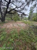 Image 3 of 6 For 6621 Virginia Beach Lane