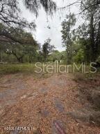 Image 5 of 6 For 6621 Virginia Beach Lane