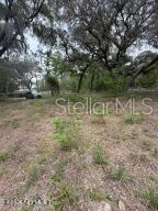 Image 6 of 6 For 6621 Virginia Beach Lane