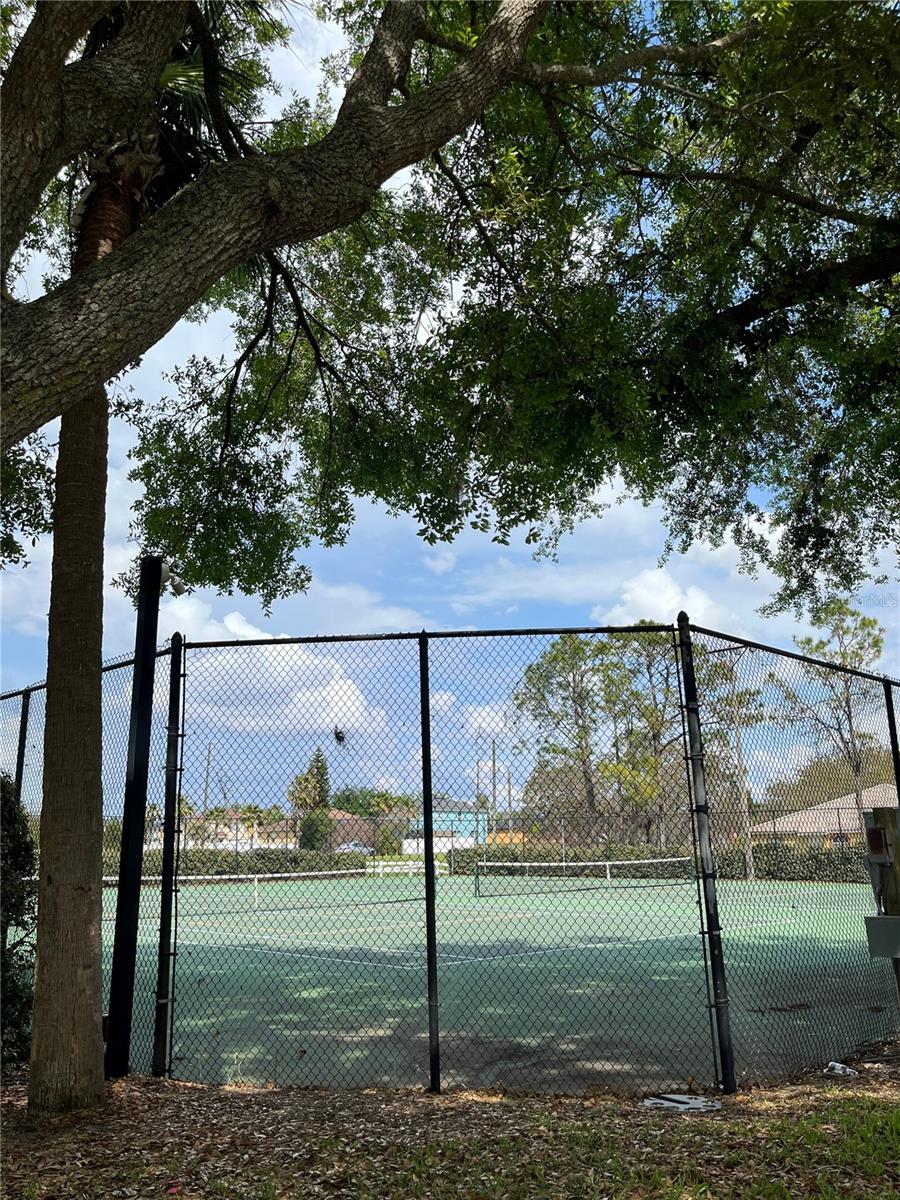 Image 32 of 39 For 2216 Mystic Ring Loop