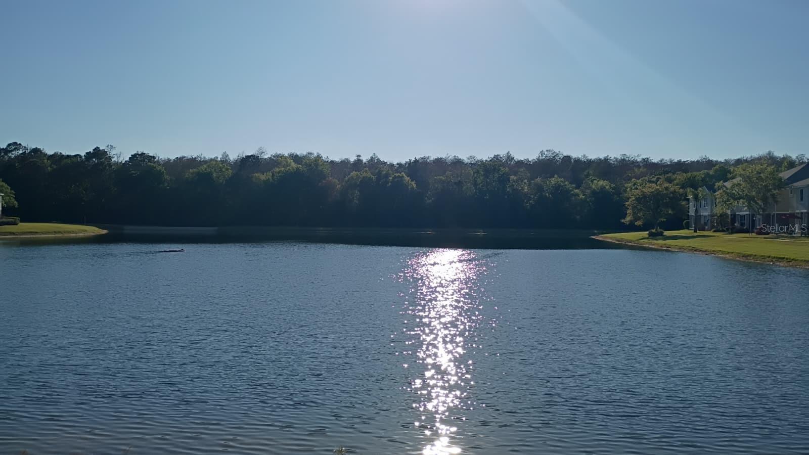 Image 24 of 26 For 6536 Goldenrod Road 67c