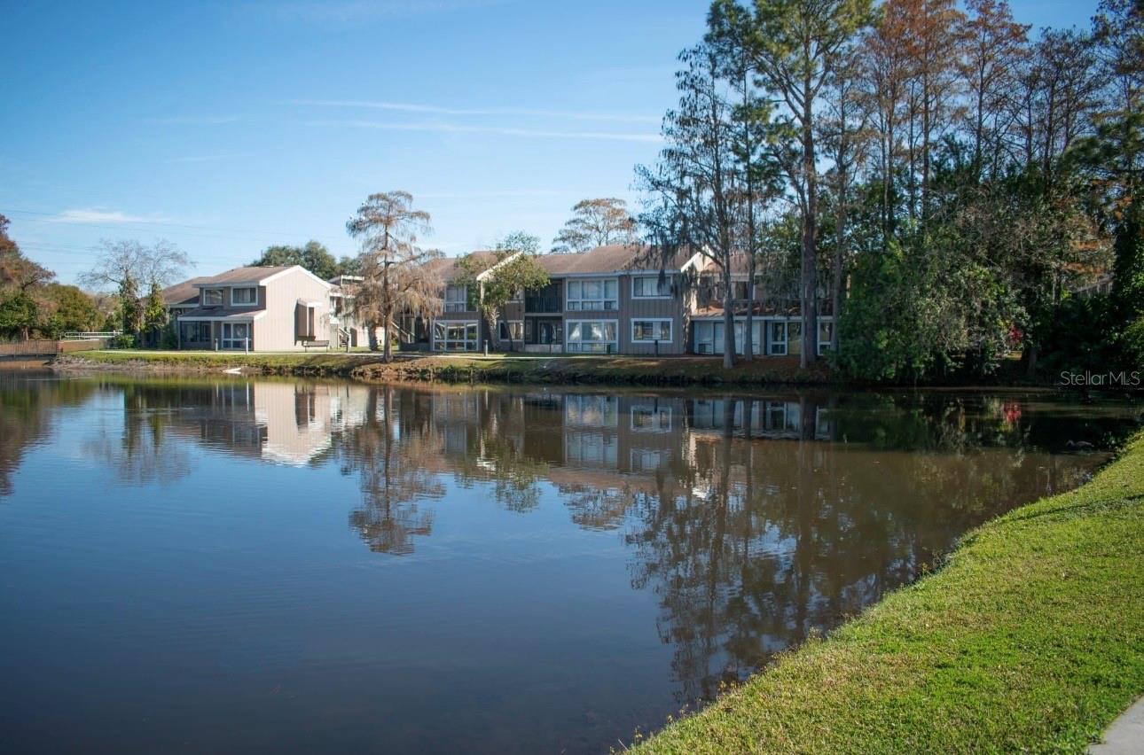 Image 2 of 14 For 5877 Windhover  A01-0