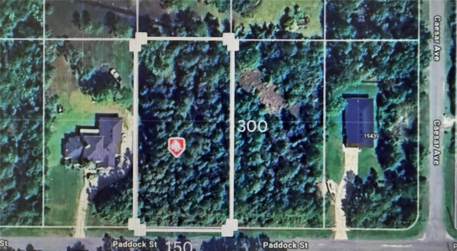 Details for Paddock Street, ORLANDO, FL 32833