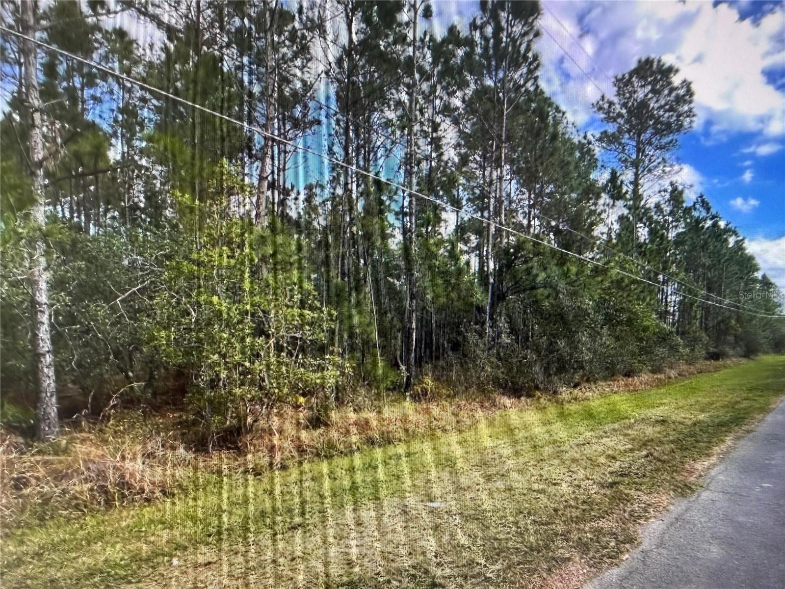 Image 4 of 6 For Paddock Street