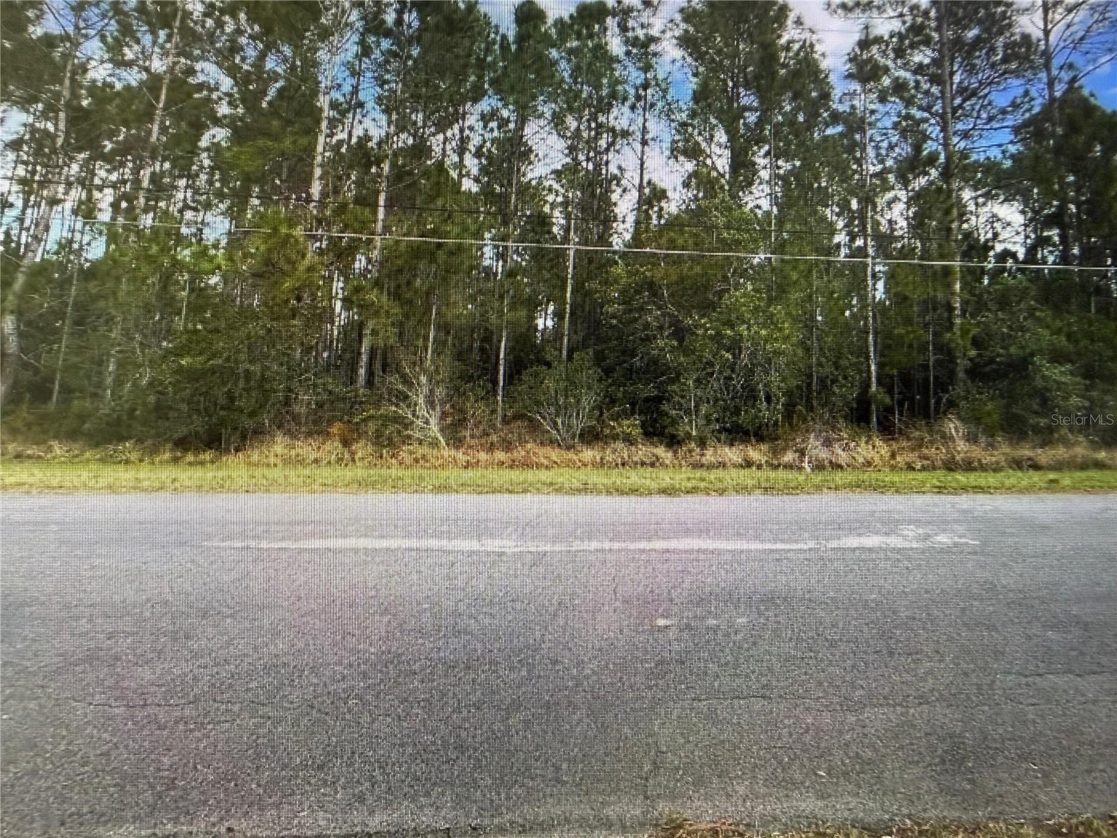 Image 5 of 6 For Paddock Street