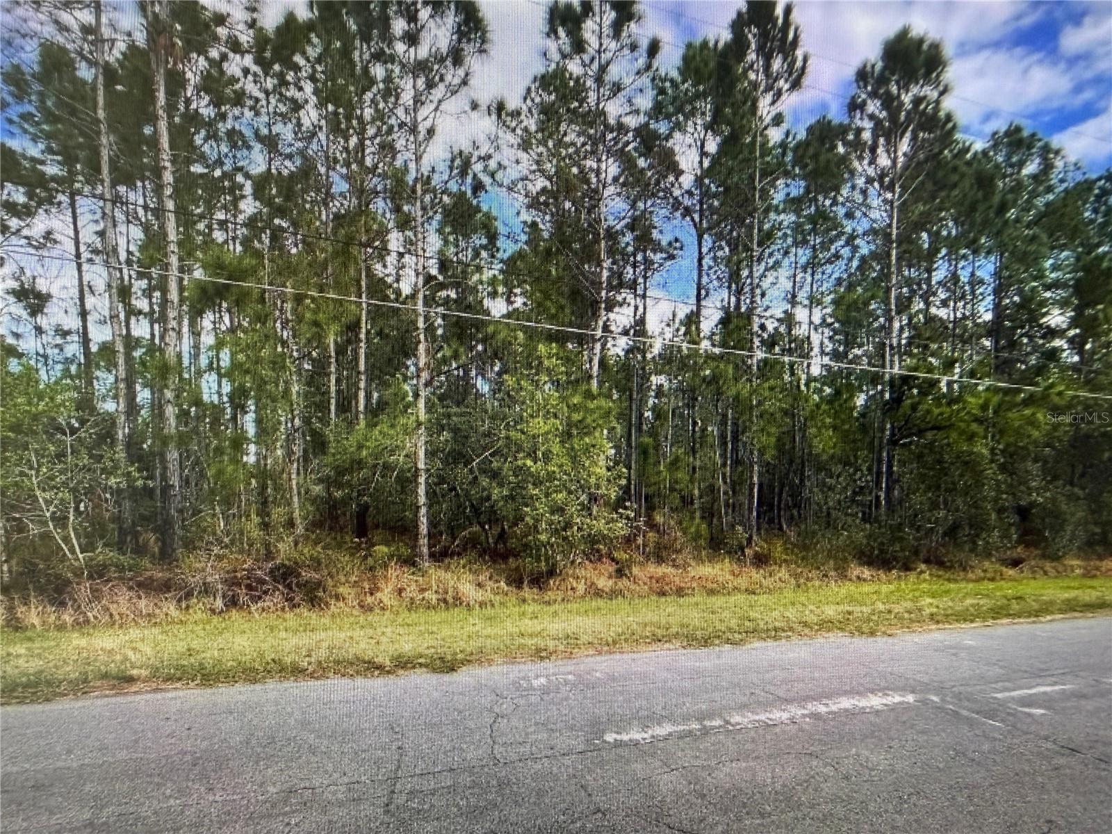 Image 6 of 6 For Paddock Street