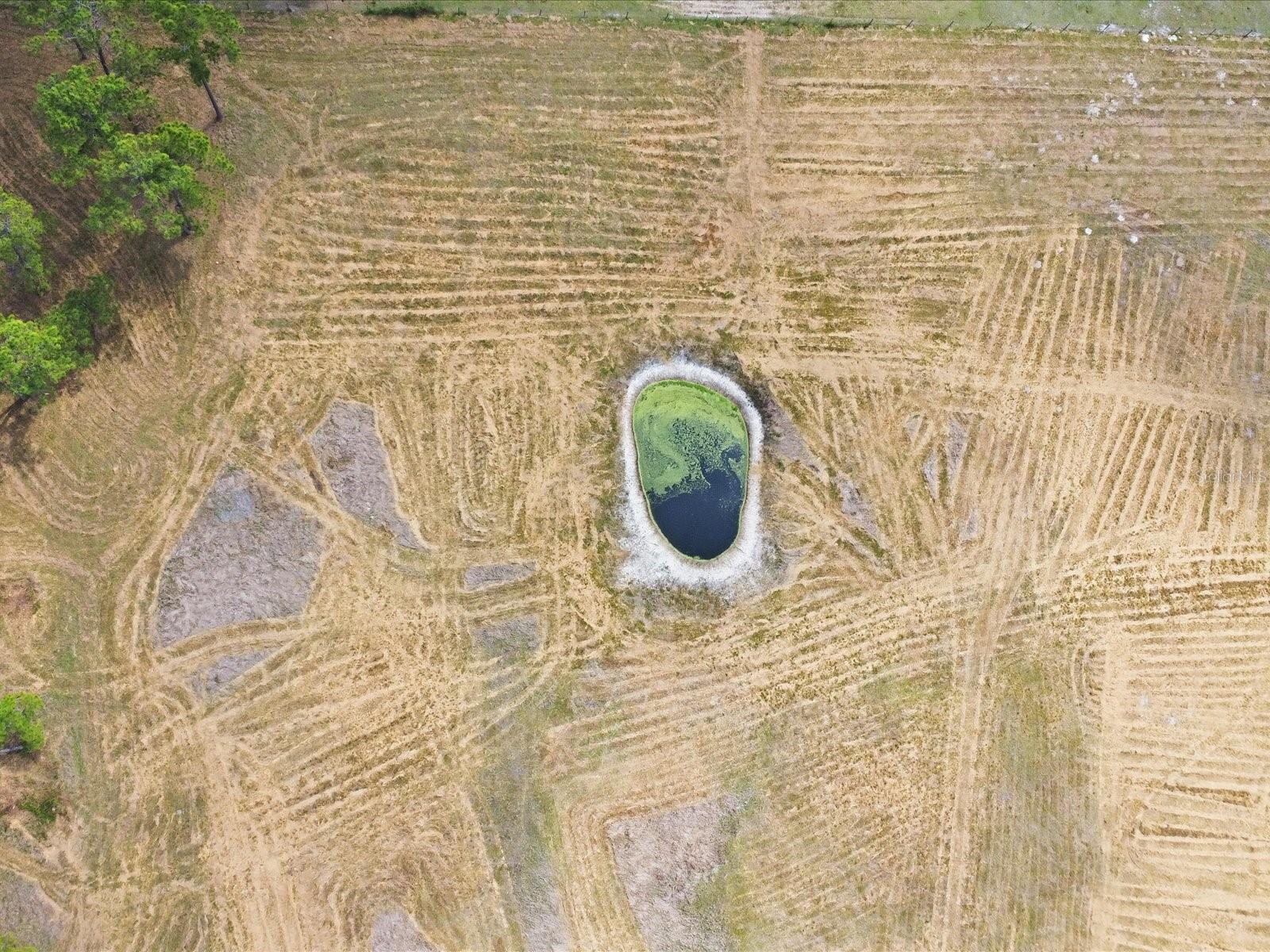 Image 13 of 13 For County Road 469