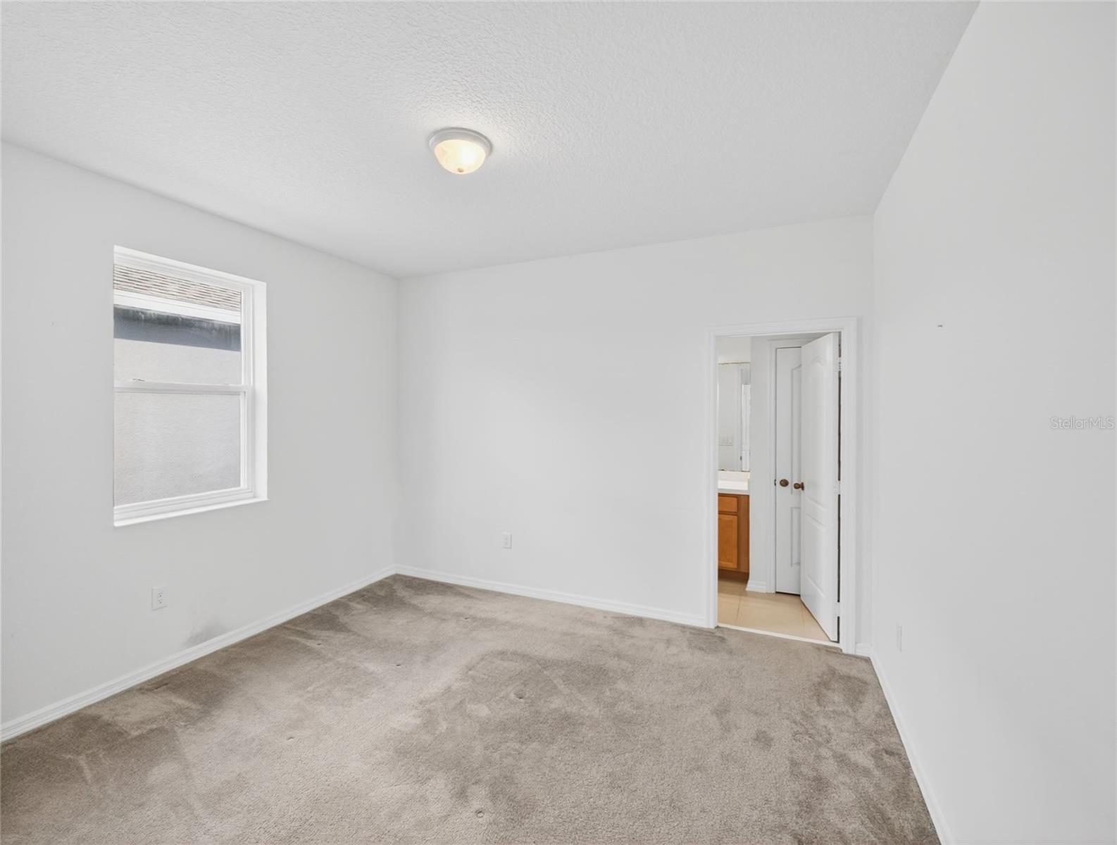 Image 32 of 74 For 2556 Leyland Cypress Lane