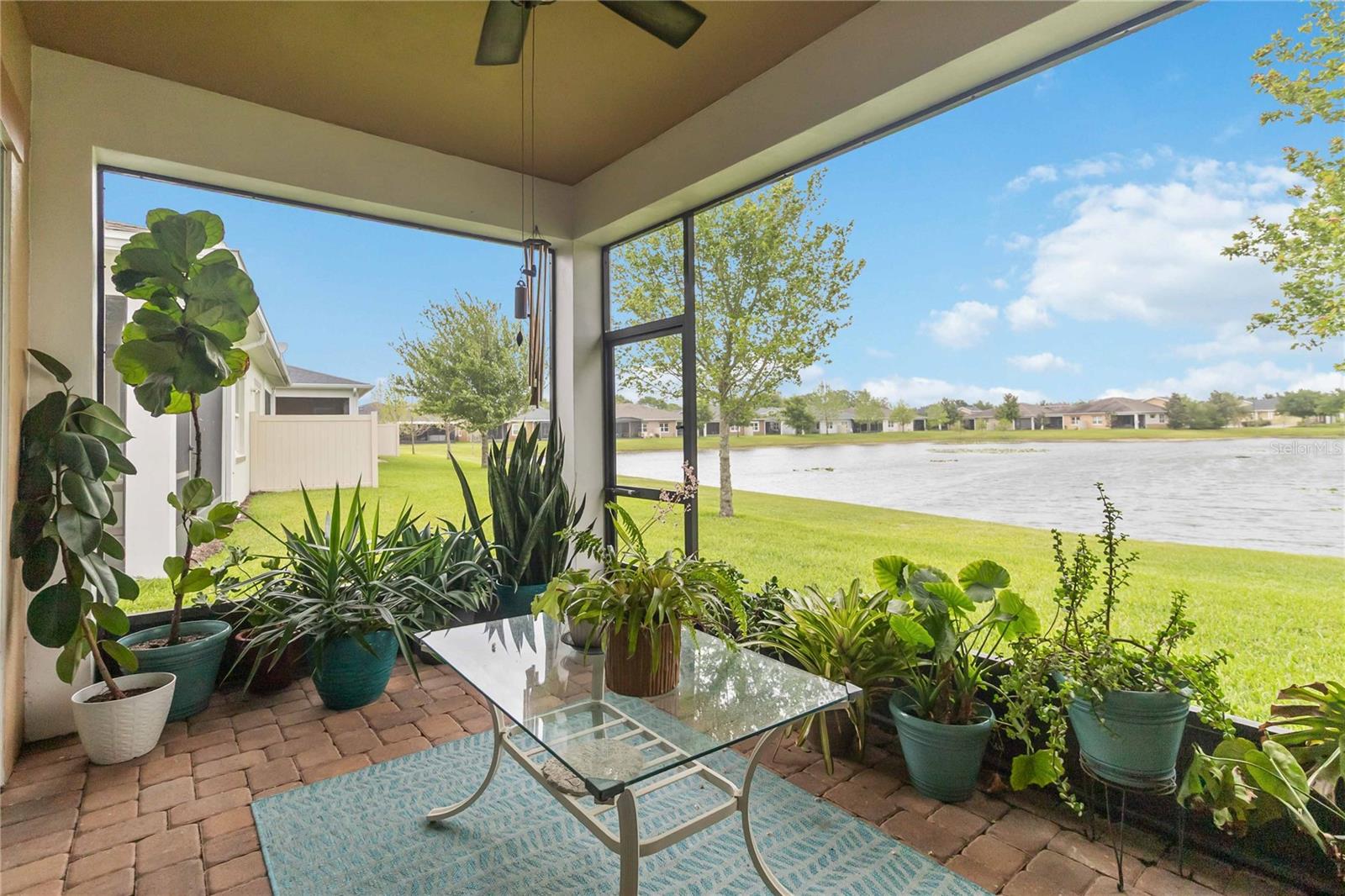 Image 41 of 52 For 2489 Datura Loop