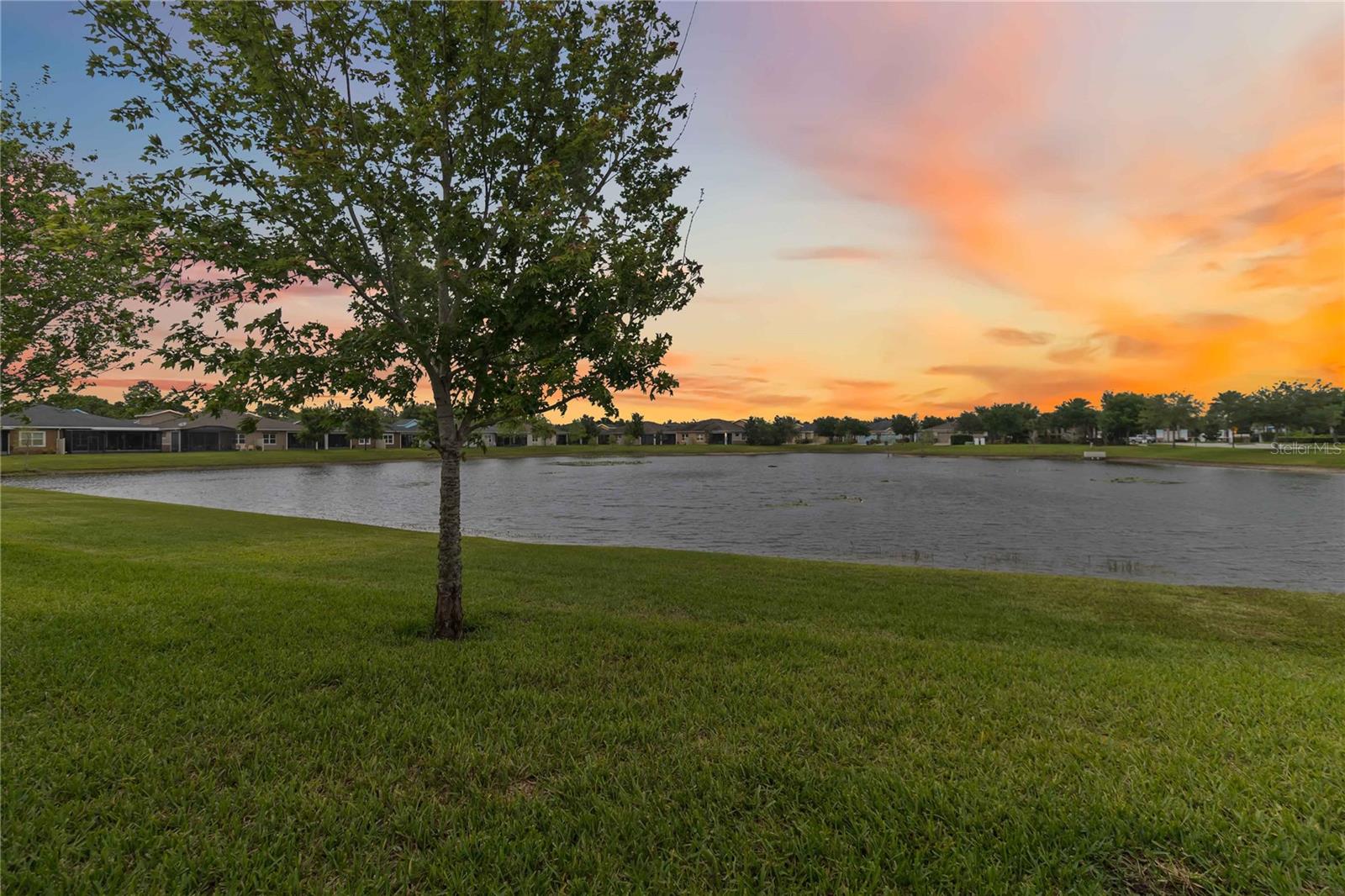 Image 46 of 52 For 2489 Datura Loop