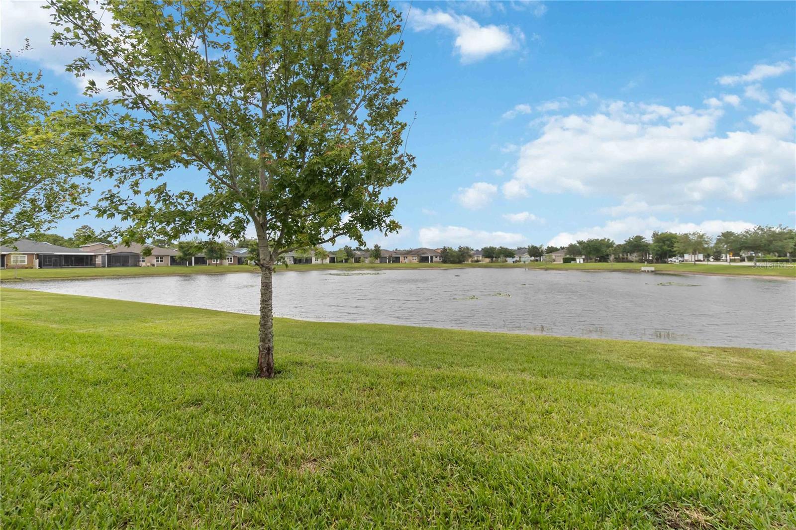 Image 47 of 52 For 2489 Datura Loop