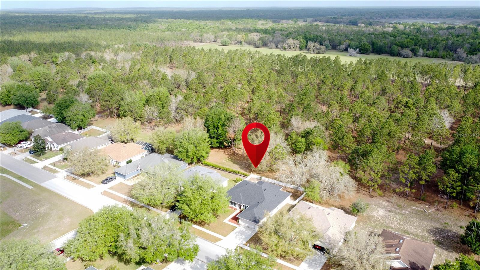 Image 58 of 71 For 31249 Satinleaf Run