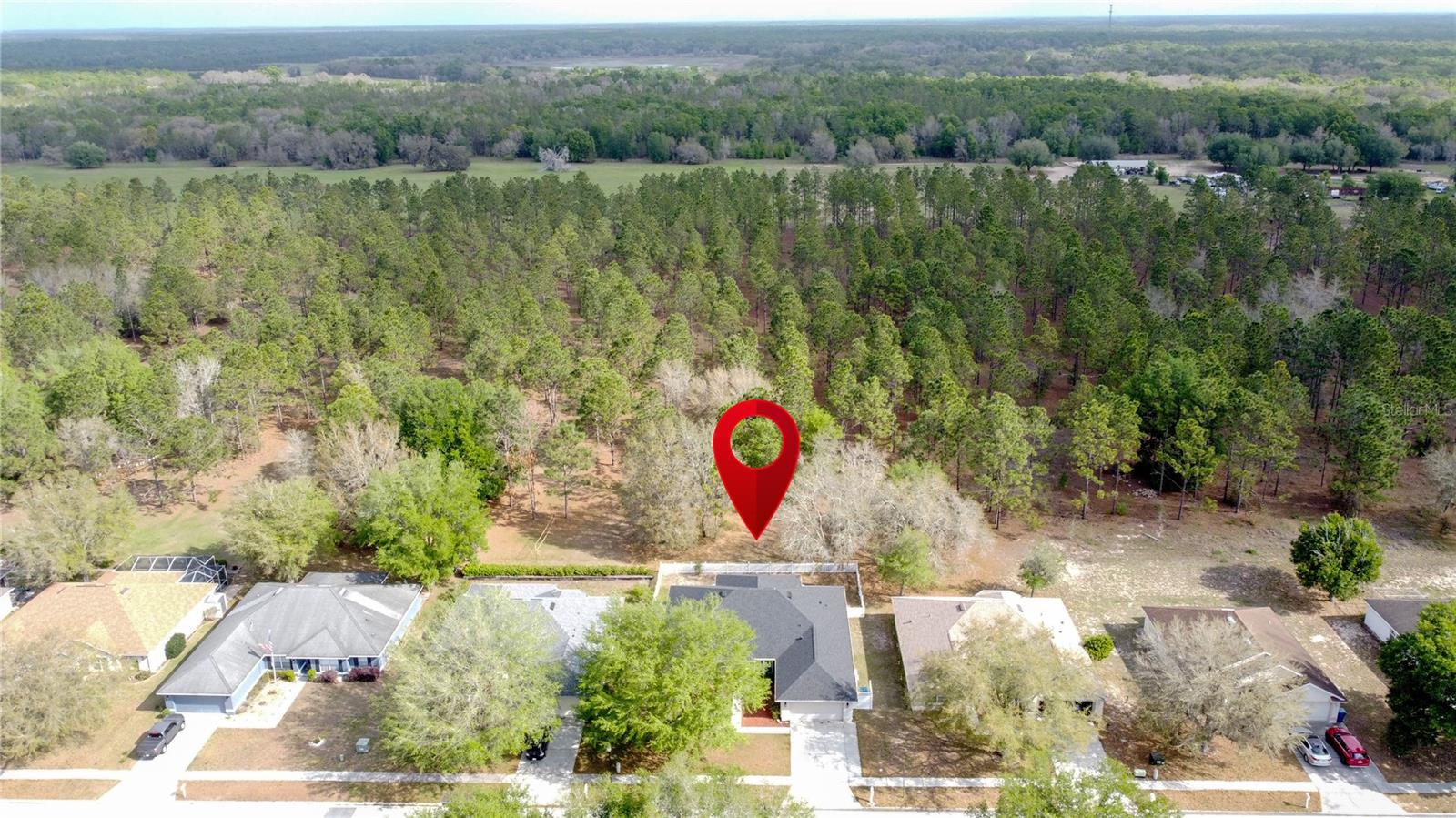 Image 59 of 71 For 31249 Satinleaf Run