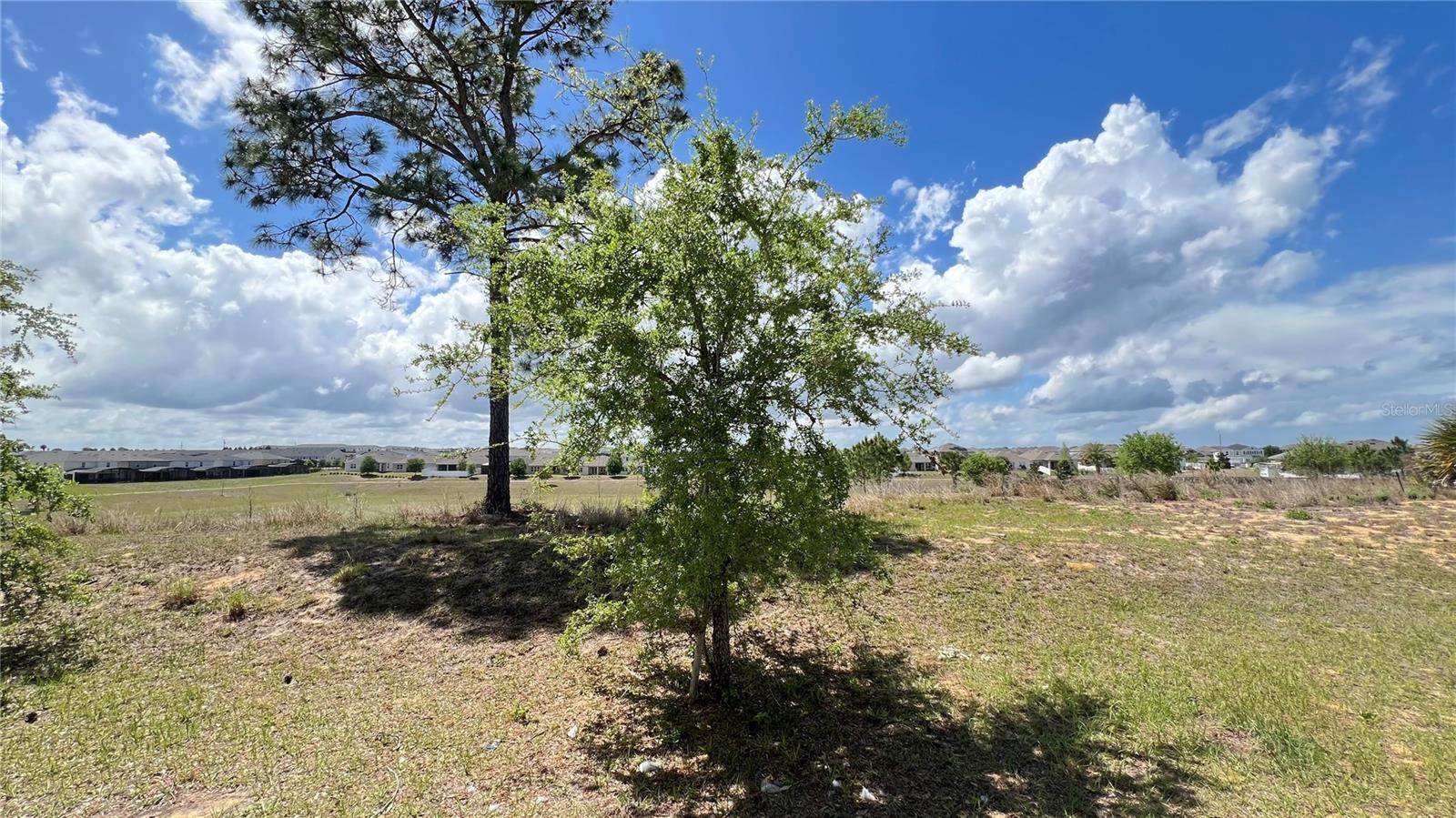 Image 28 of 34 For 2440 White Poppy Drive